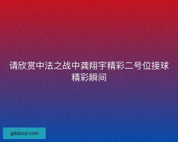 请欣赏中法之战中龚翔宇精彩二号位接球精彩瞬间