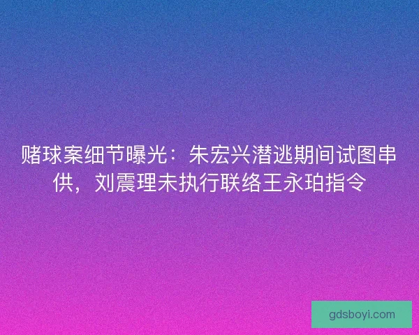 赌球案细节曝光：朱宏兴潜逃期间试图串供，刘震理未执行联络王永珀指令