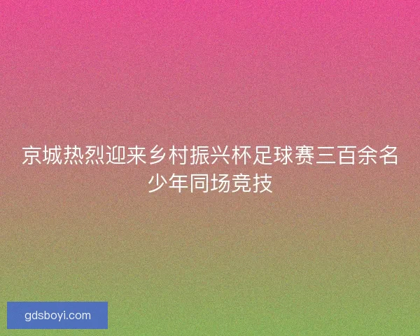 京城热烈迎来乡村振兴杯足球赛三百余名少年同场竞技 京城热烈迎来乡村振兴杯足球赛三百余名少年同场竞技